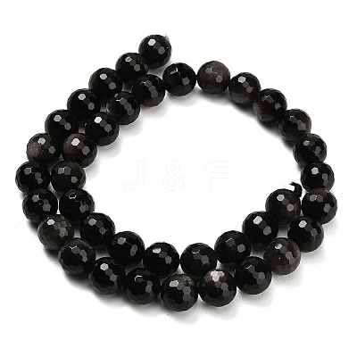 Natural Silver Obsidian Beads Strands G-C280-B08-10mm-1