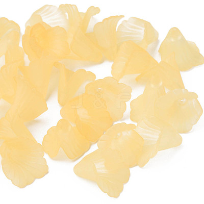 Transparent Acrylic Beads PL551-C30-1