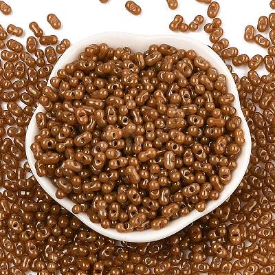 Baking Paint Glass Seed Beads SEED-L011-09A-19-1