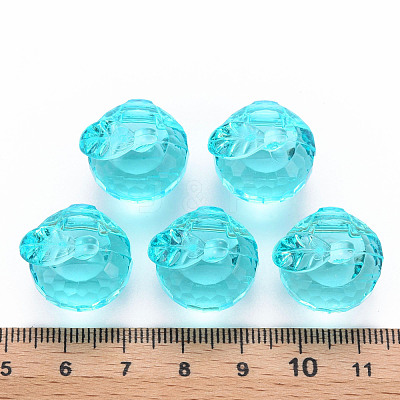 Transparent Acrylic Pendants TACR-T024-05B-946-1
