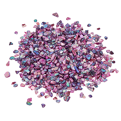 1 Bags Abalone Shell Flakes Cabochons SHEL-GA0001-17B-1