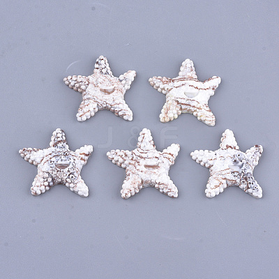 Resin Cabochons RESI-T033-02-1