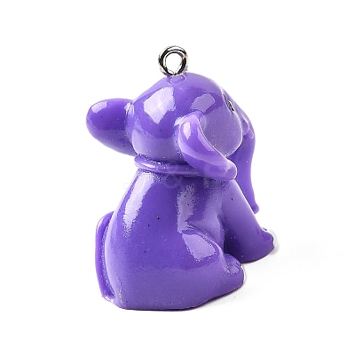 Resin Pendants FIND-U031-15A-P-1