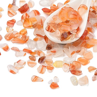 Pandahall Natural Agate Chip Beads G-M055-03-1