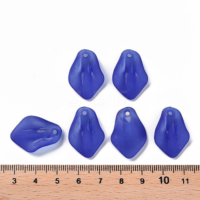 Transparent Frosted Acrylic Pendants MACR-S371-03A-751-1
