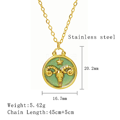 304 Stainless Steel Enamel Constellation Pendant Necklaces DJ0261-2-1-1