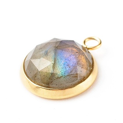 Handmade Natural Mixed Gemstone Pendants PALLOY-JF00791-1