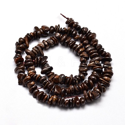 Natural Bronzite Chip Beads Strands G-E271-127-1