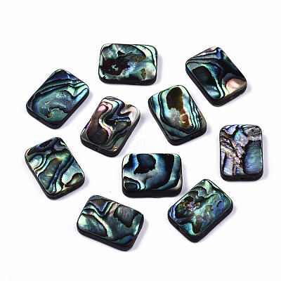 Natural Abalone Shell/Paua Shell Beads SSHEL-T014-11A-1