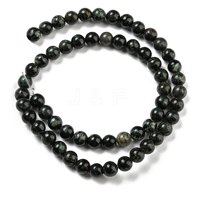 Natural Serpentine Beads Strands G-P504-6mm-01-1