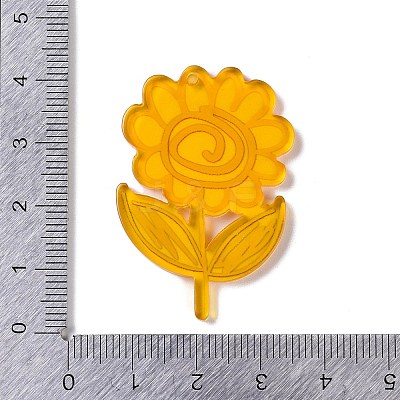 Acrylic Pendants OACR-R271-07B-1