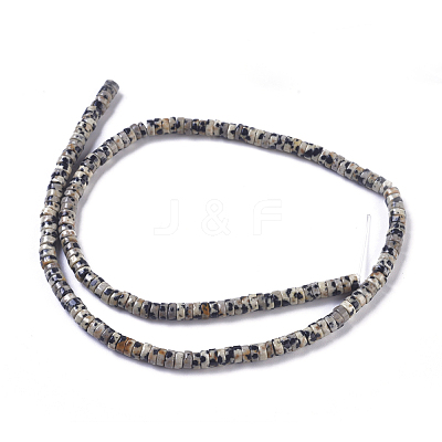 Natural Dalmatian Jasper Beads Strands G-I265-08-1