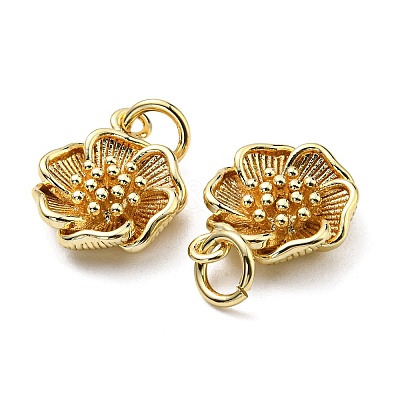 Rack Plating Brass Charms KK-D026-22G-1