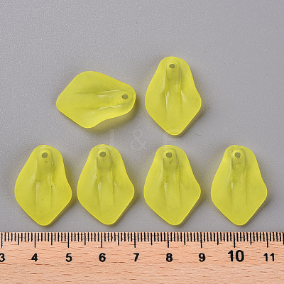 Transparent Frosted Acrylic Pendants MACR-S371-03A-717-1