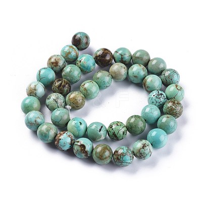 Natural Howlite Beads Strands X-TURQ-F017-02-10mm-1