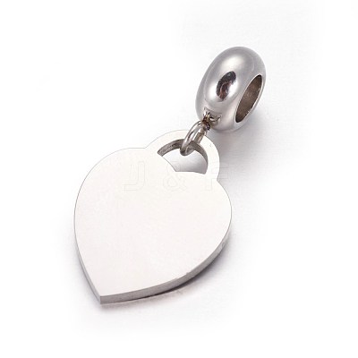 304 Stainless Steel European Dangle Charms OPDL-L013-49B-1