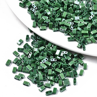 FGB 2-Hole Glass Seed Beads SEED-S031-M-SH127-1