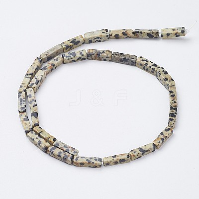 Natural Dalmatian Jasper Beads Strands X-G-G968-D10-1