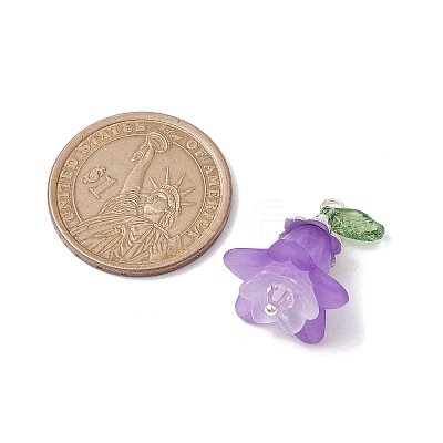 Acrylic Pendants PALLOY-TA00126-1