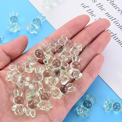 Transparent Acrylic Beads MACR-S373-81-B02-1