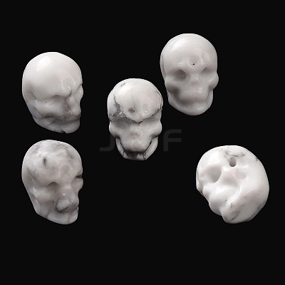 Natural Howlite Beads G-C038-01J-1
