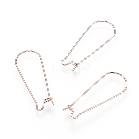 304 Stainless Steel Hoop Earring Findings STAS-P223-01RG-04-1