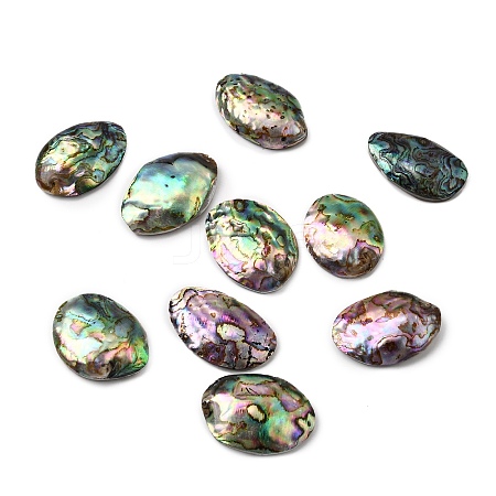 Natural Paua Shell Cabochons SSHEL-S280-01C-1