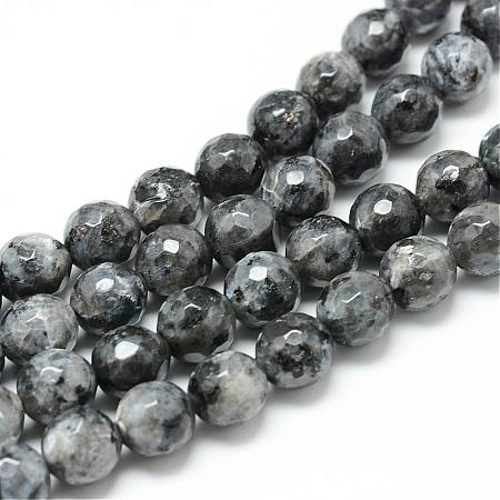 Natural Larvikite Bead Strands G-R176-10mm-07-1