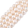 Natural Cultured Freshwater Pearl Beads Strands PEAR-N014-07J-4