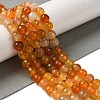 Dyed & Heated Natural Dragon Veins Agate Beads Strands G-P539-A01-19-2