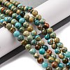 Dyed Natural Regalite/Imperial Jasper/Sea Sediment Jasper Beads Strands G-B124-C02-06-2