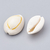 Cowrie Shell Beads LS-SSHEL-T004-06-2