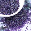 MIYUKI Round Rocailles Beads X-SEED-G007-RR0356-1