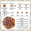 DIY Beads Kits DIY-SC0029-81A-2