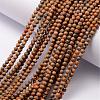 Natural Leopard Skin Jasper Gemstone Bead Strands G-K146-12-3mm-2