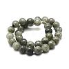 Natural Labradorite Bead Strands G-P256-01-12mm-2