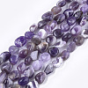 Natural Amethyst Beads Strands X-G-T105-33-1