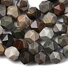 Natural Picasso Jasper Beads Strands G-Z119-A25-03-5