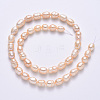 Natural Cultured Freshwater Pearl Beads Strands PEAR-N012-07G-3
