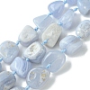 Natural Blue Lace Agate Beads Strands G-G117-B07-02-1