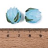 Handmade Lampwork Beads LAMP-Q039-18C-4