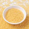 MIYUKI Round Rocailles Beads SEED-G008-RR0202-2