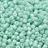 Baking Paint Pearlized Glass Seed Beads SEED-C001-04A-02-3