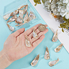 20Pcs Electroplated Natural Freshwater Shell Pendants PALLOY-WR00019-3
