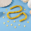 1 Strand Natural Freshwater Shell Beads Strands SHEL-TA0001-35A-5