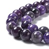 Natural Gemstone Beads Strands G-H269-05B-3