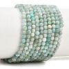 Natural Amazonite Bead Strands G-P279-42-3mm-5