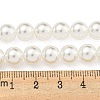 Glass Pearl Beads Strands HY-G002-01D-01-5