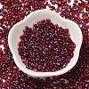 Spray Painted Glass Seed Beads SEED-F005-06A-03-2