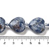 Natural Blue Spot Jasper Beads Strands G-C150-A27-01-5